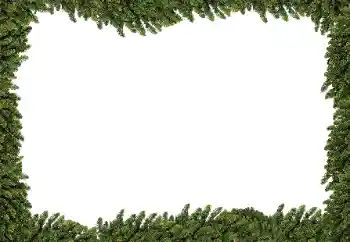 Efecto de fotos de la categoría Otros № 183301