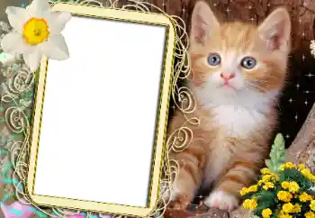 Efecto de fotos de la categoría Otros № 183482 Efecto de fotos de la categoría Otros № 183482