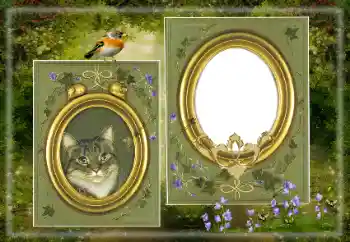 Efecto de fotos de la categoría Otros № 183530 Efecto de fotos de la categoría Otros № 183530