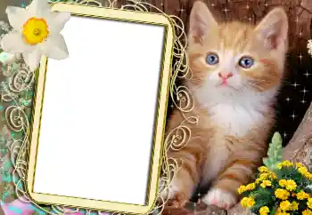 Efecto de fotos de la categoría Otros № 1842 Efecto de fotos de la categoría Otros № 1842