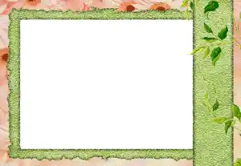 Efecto de fotos de la categoría Otros № 184589 Efecto de fotos de la categoría Otros № 184589