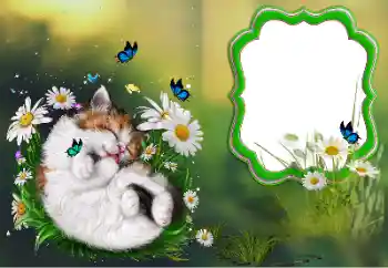 Efecto de fotos de la categoría Otros № 184694 Efecto de fotos de la categoría Otros № 184694