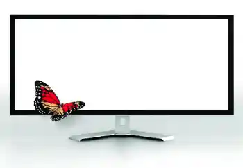 Efecto de fotos de la categoría Otros № 185816 Efecto de fotos de la categoría Otros № 185816