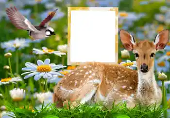 Efecto de fotos de la categoría Otros № 185878 Efecto de fotos de la categoría Otros № 185878