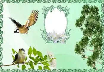 Efecto de fotos de la categoría Otros № 185981 Efecto de fotos de la categoría Otros № 185981