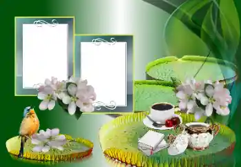 Efecto de fotos de la categoría Otros № 185988 Efecto de fotos de la categoría Otros № 185988