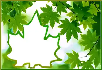 Efecto de fotos de la categoría Otros № 186022 Efecto de fotos de la categoría Otros № 186022