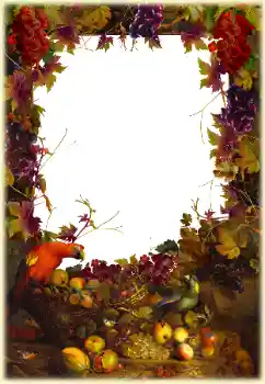 Efecto de fotos de la categoría Otros № 187070