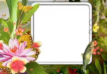 Efecto de fotos de la categoría Otros № 188076