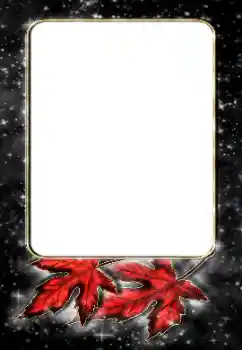 Efecto de fotos de la categoría Otros № 188187