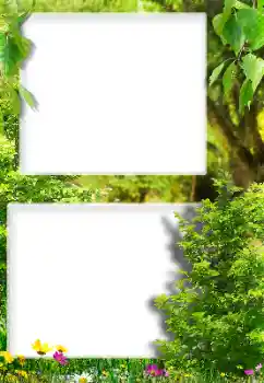 Efecto de fotos de la categoría Otros № 189416