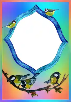 Efecto de fotos de la categoría Otros № 189437