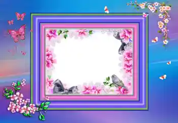 Efecto de fotos de la categoría Otros № 190470