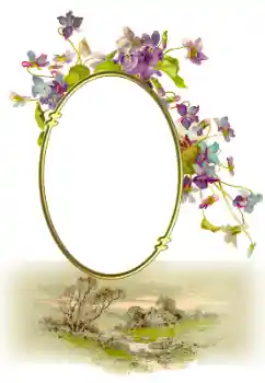 Efecto de fotos de la categoría Otros № 190547