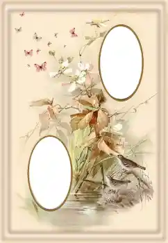 Efecto de fotos de la categoría Otros № 190550