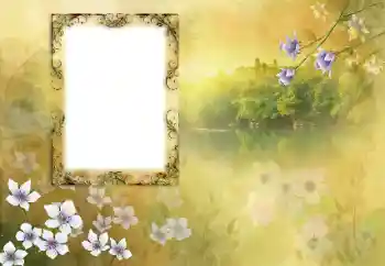 Efecto de fotos de la categoría Otros № 190618