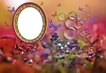 Efecto de fotos de la categoría Otros № 191700