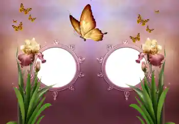 Efecto de fotos de la categoría Otros № 191737