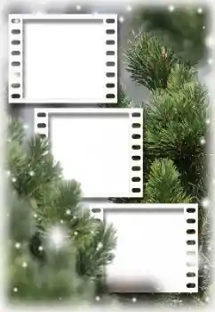 Efecto de fotos de la categoría Otros № 194160 Efecto de fotos de la categoría Otros № 194160