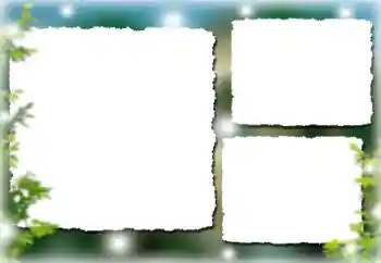 Efecto de fotos de la categoría Otros № 195305