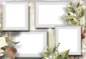 Efecto de fotos de la categoría Otros № 195312