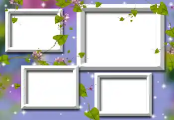 Efecto de fotos de la categoría Otros № 195313