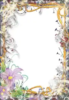 Efecto de fotos de la categoría Otros № 195326