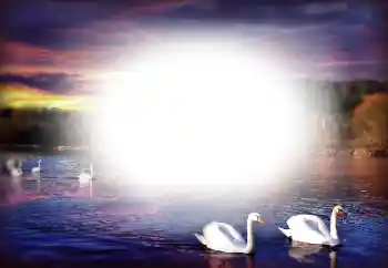 Efecto de fotos de la categoría Otros № 196358