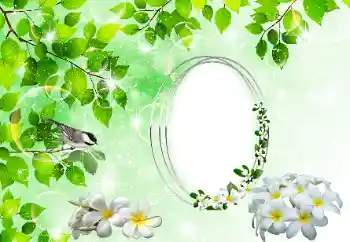 Efecto de fotos de la categoría Otros № 196398