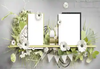 Efecto de fotos de la categoría Otros № 196449