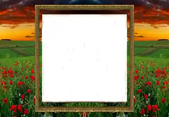 Efecto de fotos de la categoría Otros № 196520