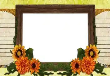 Efecto de fotos de la categoría Otros № 196538