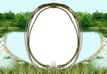 Efecto de fotos de la categoría Otros № 196571