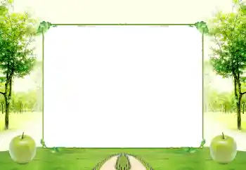 Efecto de fotos de la categoría Otros № 196580