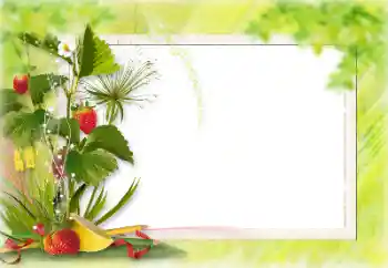 Efecto de fotos de la categoría Otros № 198828 Efecto de fotos de la categoría Otros № 198828