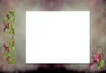 Efecto de fotos de la categoría Otros № 198919 Efecto de fotos de la categoría Otros № 198919