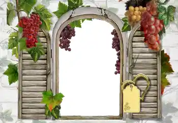 Efecto de fotos de la categoría Otros № 20247 Efecto de fotos de la categoría Otros № 20247