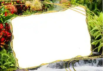 Efecto de fotos de la categoría Otros № 20271