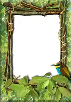 Efecto de fotos de la categoría Otros № 20272