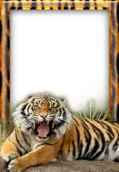 Efecto de fotos de la categoría Otros № 20297