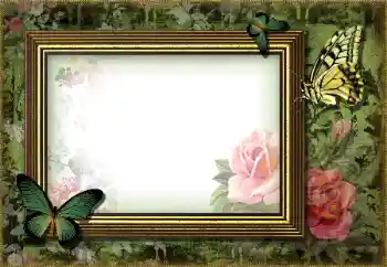 Efecto de fotos de la categoría Otros № 203270