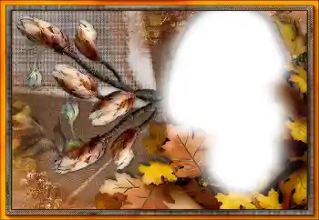 Efecto de fotos de la categoría Otros № 205533