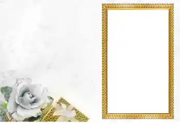 Efecto de fotos de la categoría Otros № 205560