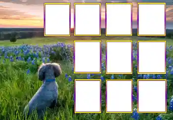 Efecto de fotos de la categoría Otros № 205604 Efecto de fotos de la categoría Otros № 205604