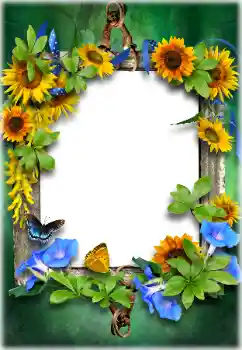 Efecto de fotos de la categoría Otros № 205611 Efecto de fotos de la categoría Otros № 205611