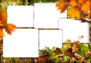 Efecto de fotos de la categoría Otros № 205794