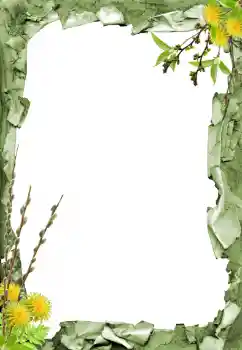 Efecto de fotos de la categoría Otros № 205798