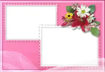 Efecto de fotos de la categoría Otros № 205976