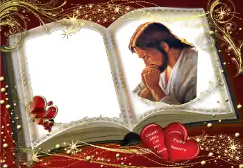 Efecto de fotos de la categoría Otros № 206200