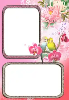 Efecto de fotos de la categoría Otros № 24272 Efecto de fotos de la categoría Otros № 24272